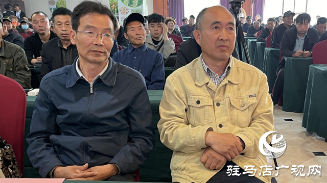 引領(lǐng)小麥新方向！噸源種業(yè)2023年豫同107觀摩會(huì)隆重召開(kāi)