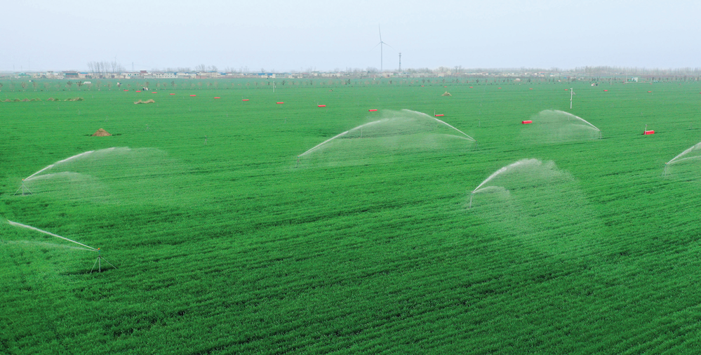 瞭望丨“中原糧倉”打造1500萬畝高標準農(nóng)田示范區(qū)