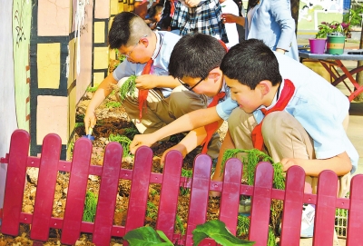 把勞動課開在廣闊的田野上——“特色教育別樣精彩”系列報(bào)道之一