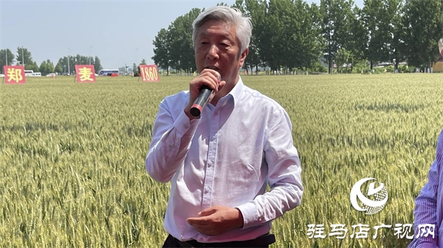 2023年&ldquo;鄭麥1860&rdquo;小麥現(xiàn)場觀摩會在駐馬店成功召開