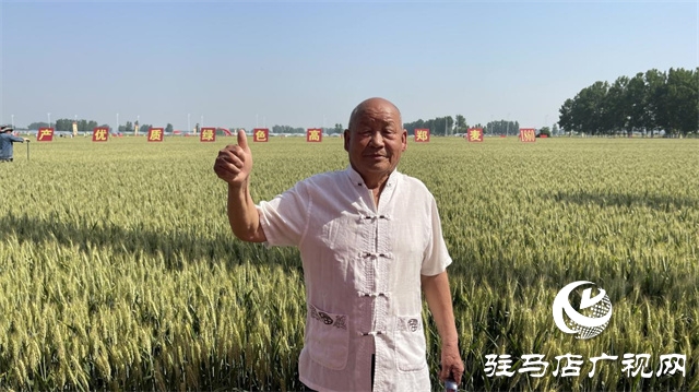 2023年&ldquo;鄭麥1860&rdquo;小麥現(xiàn)場觀摩會在駐馬店成功召開