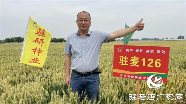 【喜訊】熱烈祝賀河南駐研種業(yè)小麥新品種&ldquo;駐麥126&rdquo;通過國審！
