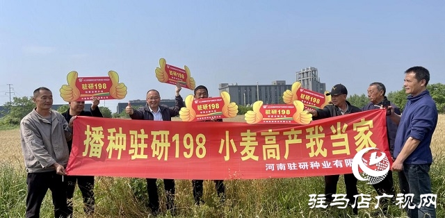 駐研種業(yè)捷報頻傳：駐麥126、駐麥156、駐研198相繼通過審定