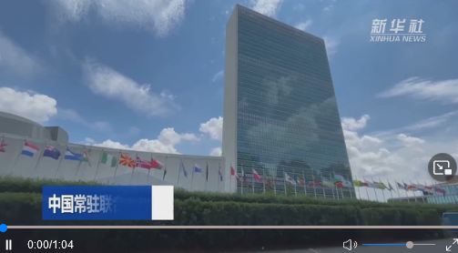 中國常駐聯合國代表團舉辦“國際茶日”系列慶祝活動