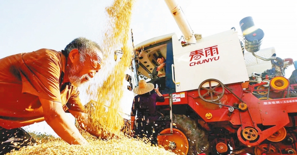 趁天搶時忙&ldquo;三夏&rdquo;