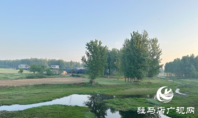 泌陽縣郭集鎮(zhèn)：未雨綢繆 打好防汛“主動(dòng)仗”