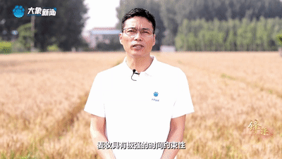 鋒評｜收麥 是天大的事