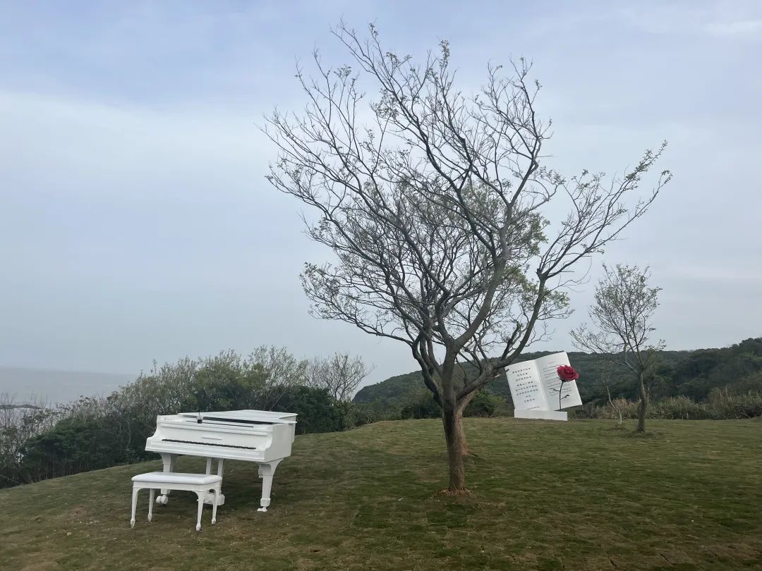 使命如山&mdash;&mdash;&ldquo;千萬工程&rdquo;二十年記（中）