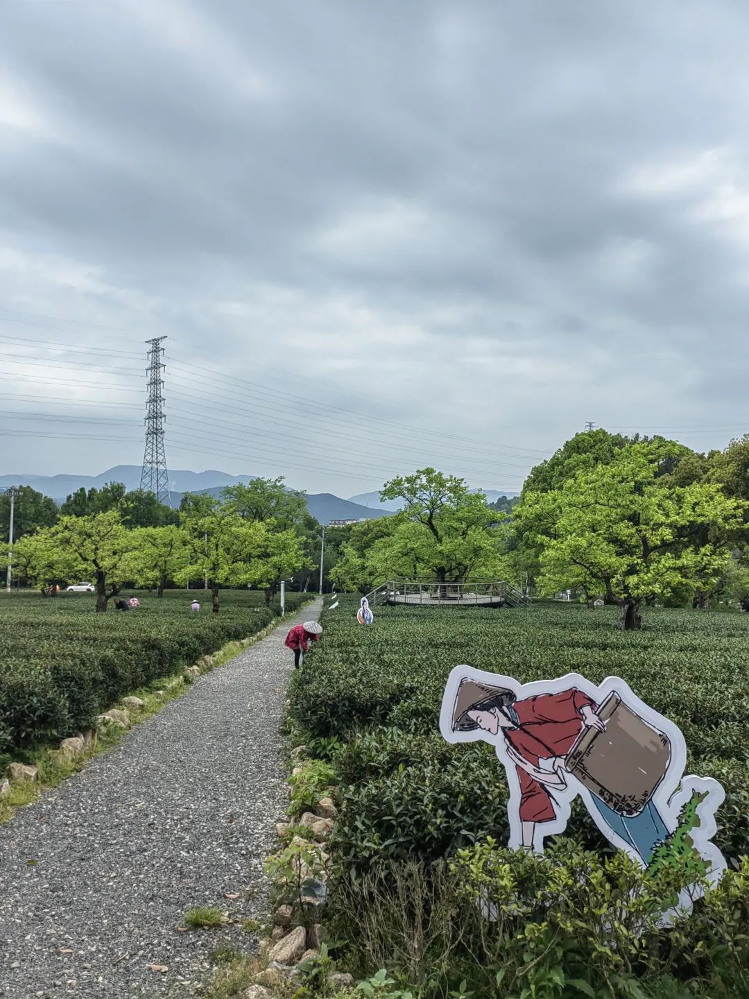 使命如山&mdash;&mdash;&ldquo;千萬工程&rdquo;二十年記（中）