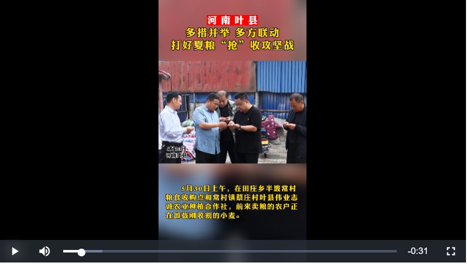 護(hù)航“三夏”丨河南葉縣：雨后奪糧忙搶收