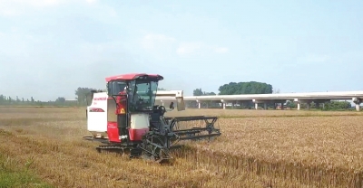 直擊駐馬店、南陽、平頂山、信陽四地麥?zhǔn)找痪€ 見證奔跑的&ldquo;三夏&rdquo;
