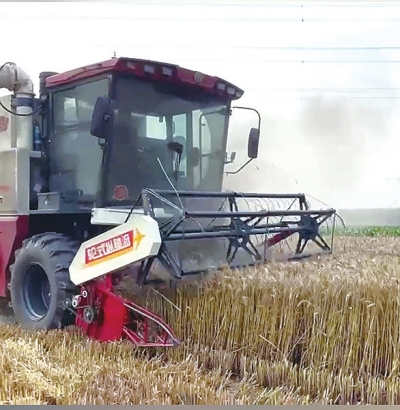 直擊駐馬店、南陽、平頂山、信陽四地麥?zhǔn)找痪€ 見證奔跑的&ldquo;三夏&rdquo;