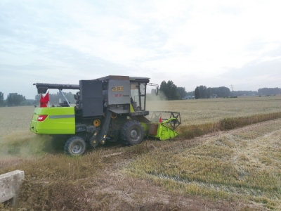 直擊駐馬店、南陽、平頂山、信陽四地麥?zhǔn)找痪€ 見證奔跑的&ldquo;三夏&rdquo;