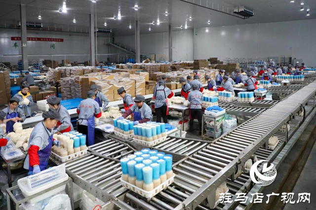 泌陽(yáng)：講好新&ldquo;菇&rdquo;事 加快建設(shè)&ldquo;中國(guó)菌都&rdquo;