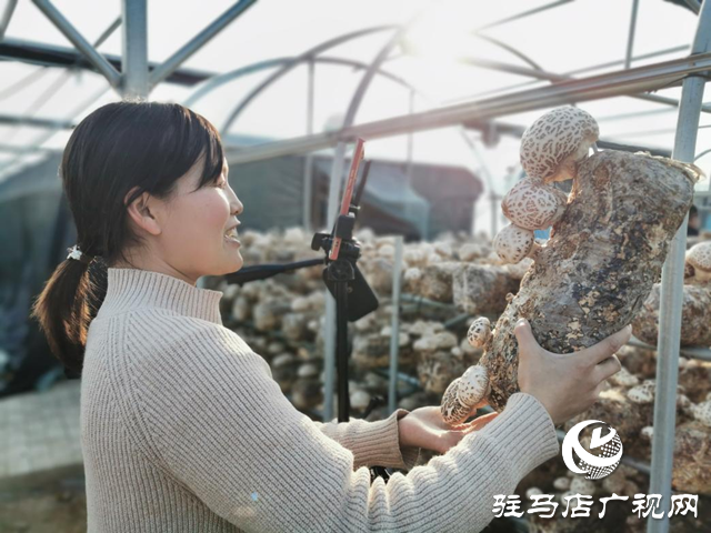 泌陽(yáng)：講好新&ldquo;菇&rdquo;事 加快建設(shè)&ldquo;中國(guó)菌都&rdquo;