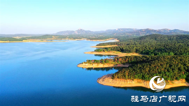 六月的泌陽，美出圈了！