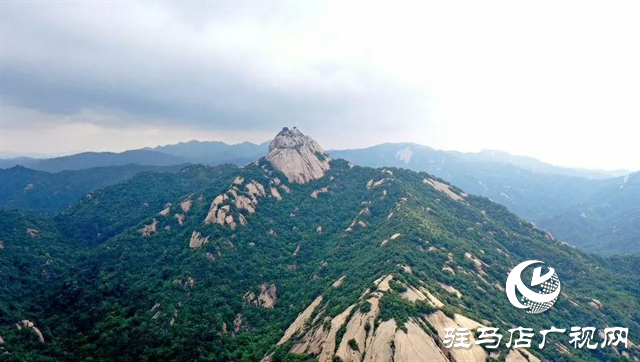 六月的泌陽，美出圈了！