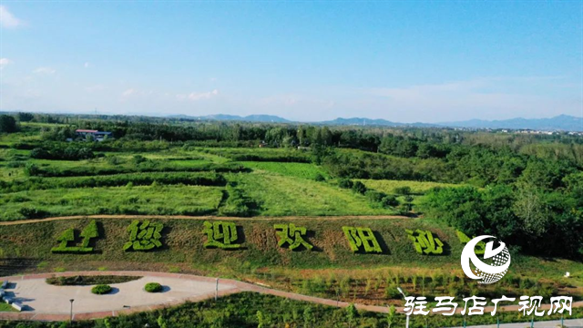 六月的泌陽，美出圈了！