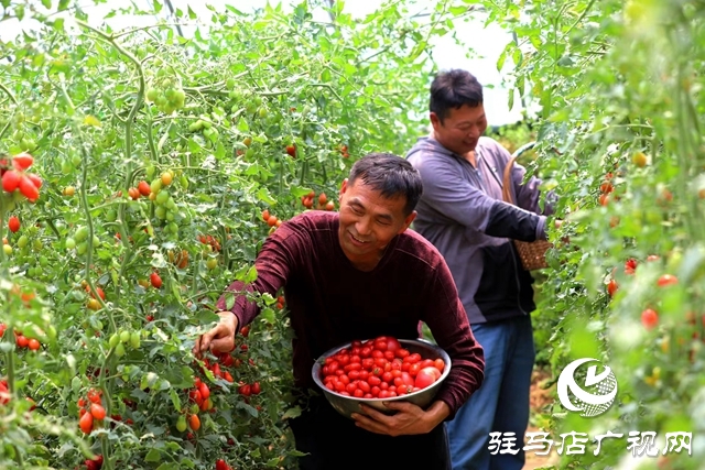 河南駐馬店驛城區(qū)：&ldquo;魏莊燒烤&rdquo;激發(fā)鄉(xiāng)村經(jīng)濟新活力