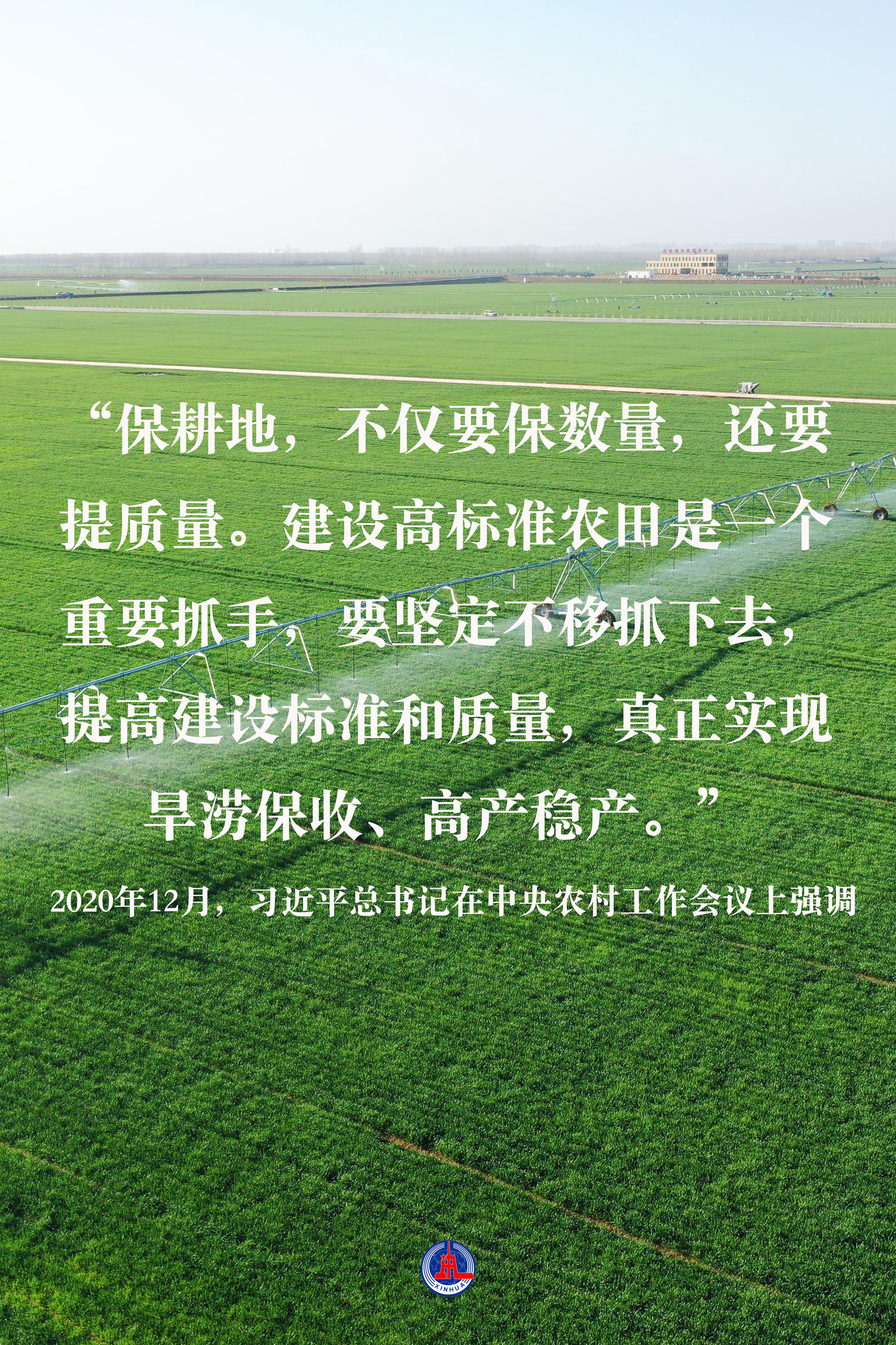 習(xí)近平總書記關(guān)切事｜藏糧于地、藏糧于技，筑牢豐收之基