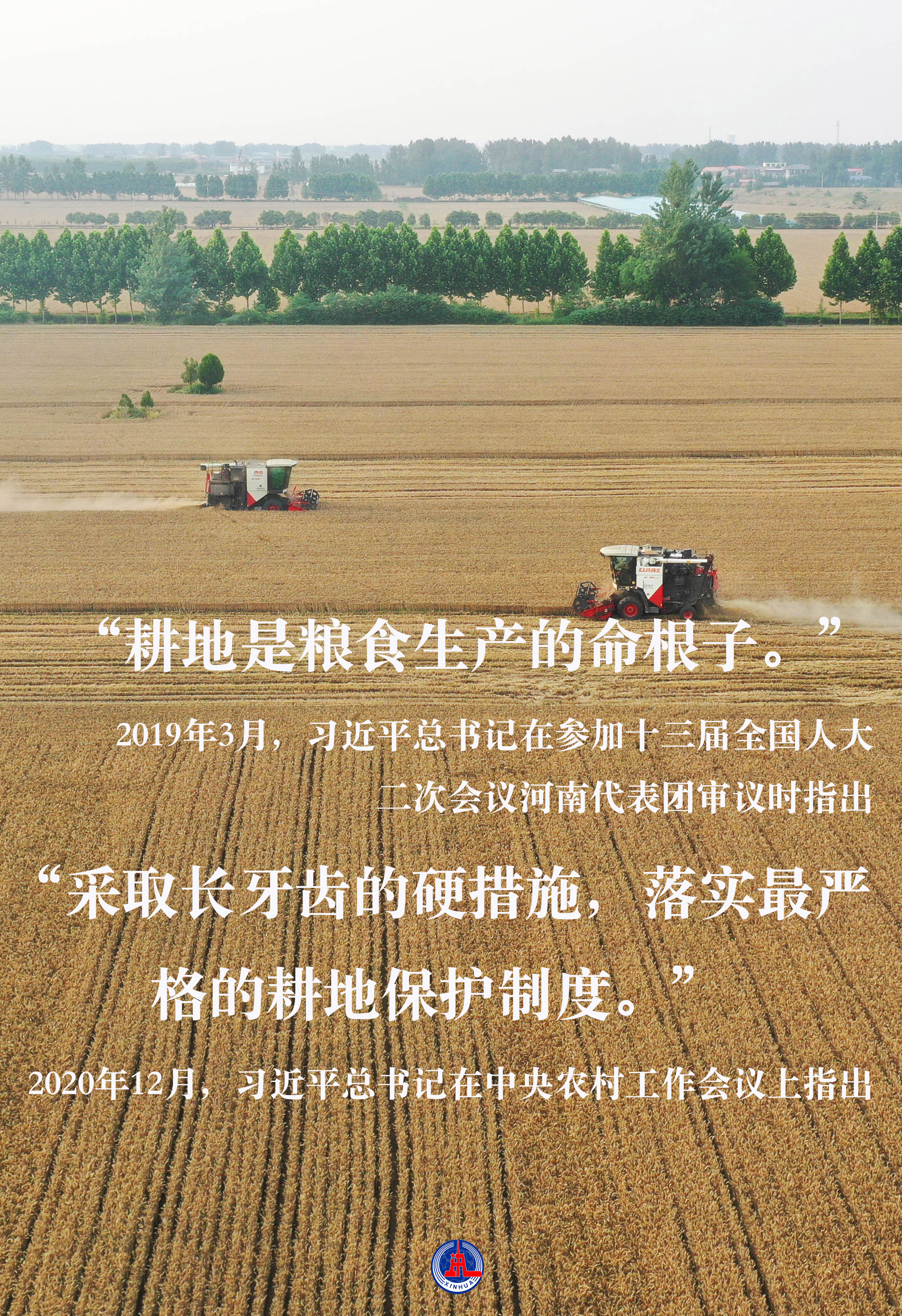 習(xí)近平總書記關(guān)切事｜藏糧于地、藏糧于技，筑牢豐收之基