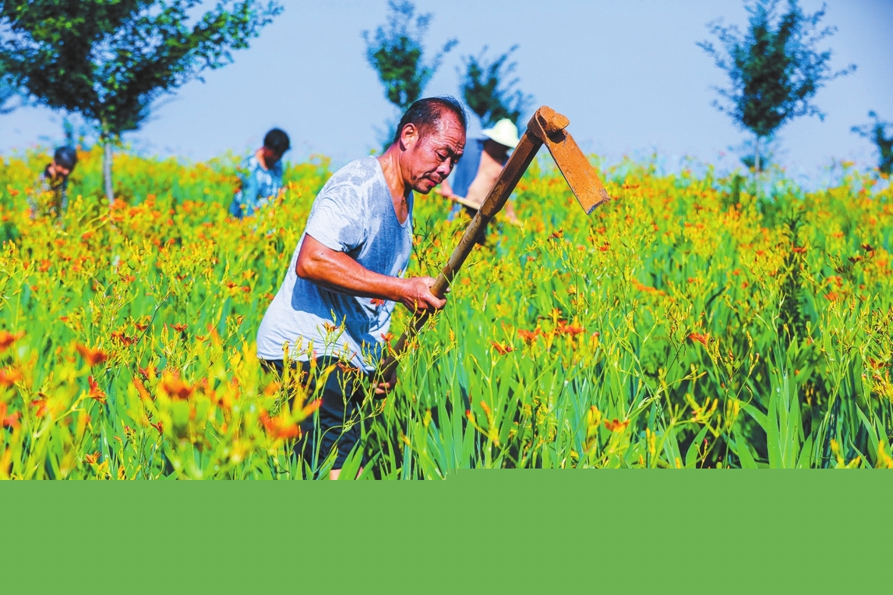 戰(zhàn)高溫 搶農(nóng)時(shí)