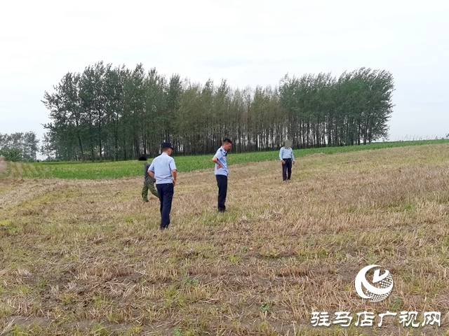 平輿:麥田除草引糾紛 耐心調(diào)解促和諧