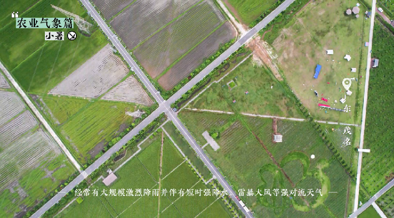 小暑——盛夏伊始，萬物蔥郁