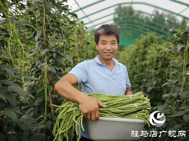 驛城區(qū)朱古洞鄉(xiāng)：特色產(chǎn)業(yè)奏響鄉(xiāng)村振興“進(jìn)行曲”