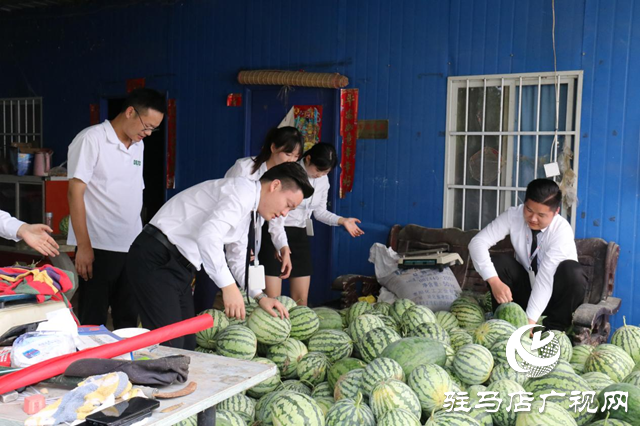駐馬店天縱時(shí)代城：愛心助農(nóng)認(rèn)購西瓜 轉(zhuǎn)贈(zèng)戶外工作者傳遞愛心