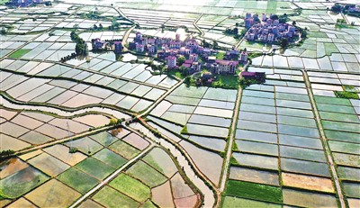 糧食生產(chǎn)如何應(yīng)對(duì)今夏“大烤”？