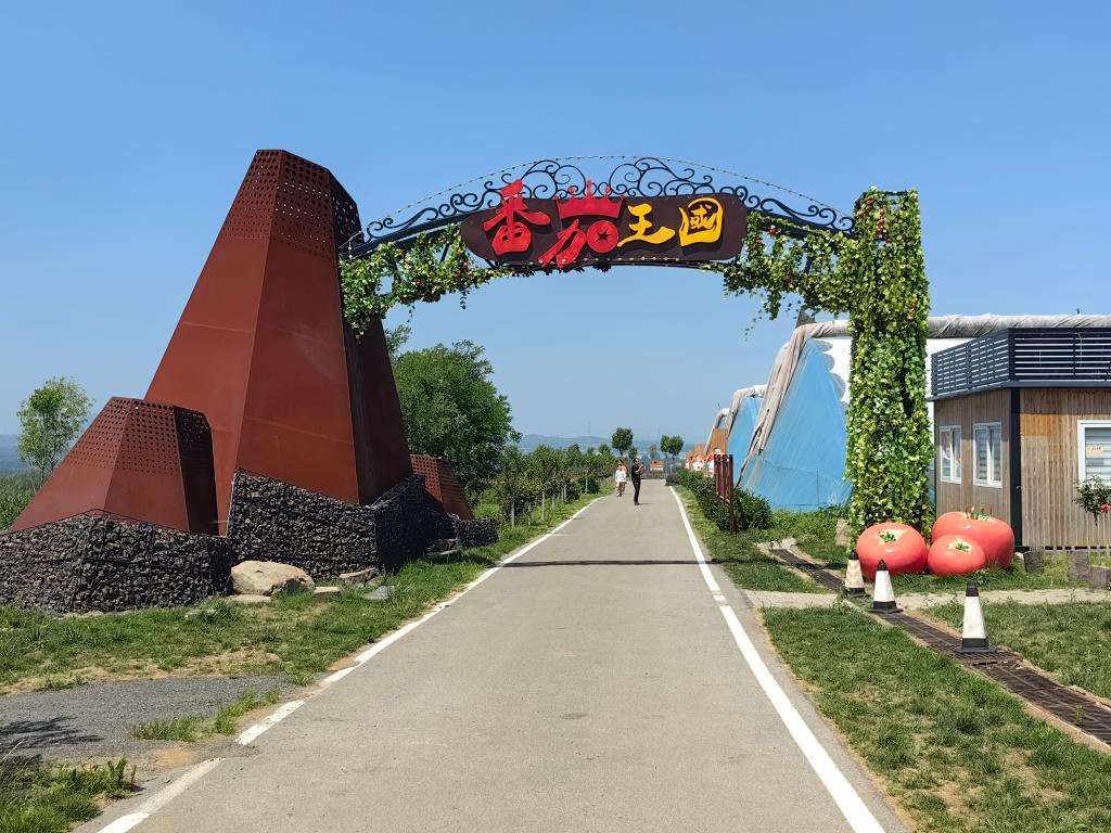 高質(zhì)量發(fā)展調(diào)研行丨“西紅柿村”的振興路——山東昌樂(lè)縣唐家店子村見(jiàn)聞