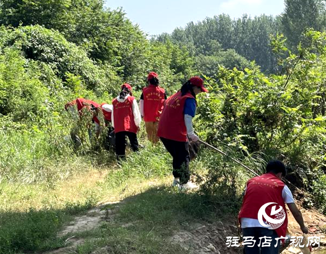 泌陽縣盤古鄉(xiāng):“河”我在一起 凈灘守護(hù)志愿行