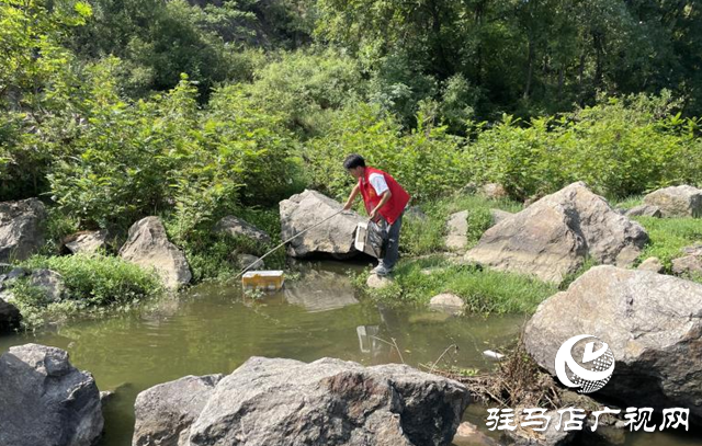 泌陽縣盤古鄉(xiāng):“河”我在一起 凈灘守護(hù)志愿行