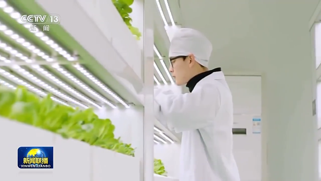 把握首要任務(wù) 以高質(zhì)量發(fā)展扎實推進中國式現(xiàn)代化