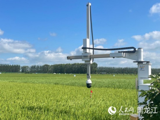 跟著總書記看中國｜倉廩實(shí)、科技興 北大荒農(nóng)業(yè)現(xiàn)代化大步向前