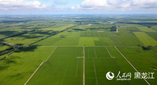 跟著總書記看中國｜倉廩實(shí)、科技興 北大荒農(nóng)業(yè)現(xiàn)代化大步向前