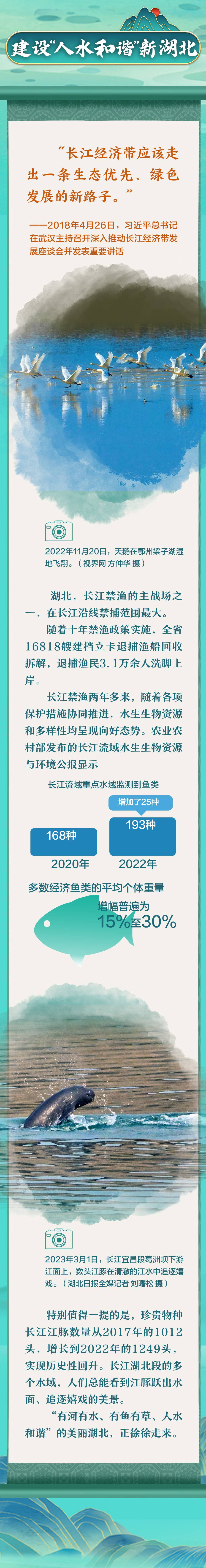 跟著總書記看中國(guó)丨青山綠水 潮涌大江