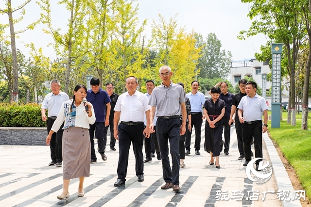 岳卷中調(diào)研泌陽國土綠化工作