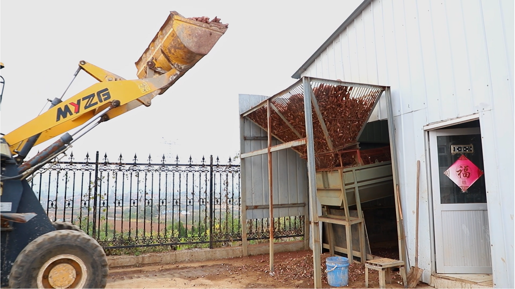 渠水長流正青春丨長在紅旗渠畔，95后青年追逐“薯”于家鄉(xiāng)的“大產(chǎn)業(yè)”夢想