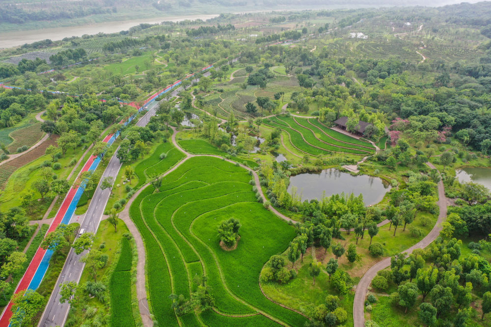 鏡觀·領(lǐng)航丨母親河的保護與發(fā)展，總書記這樣把脈定向