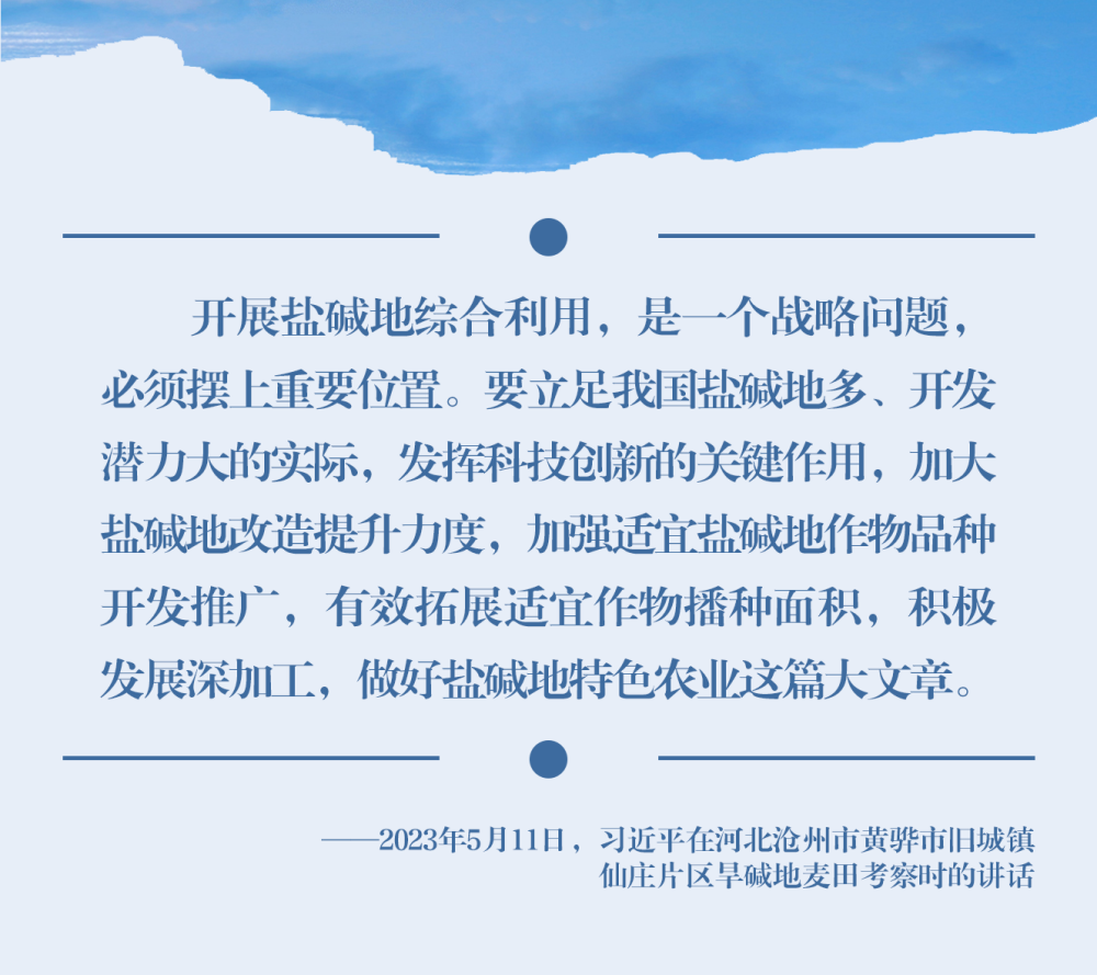 鏡觀&middot;領航丨習近平：統(tǒng)籌山水林田湖草沙系統(tǒng)治理