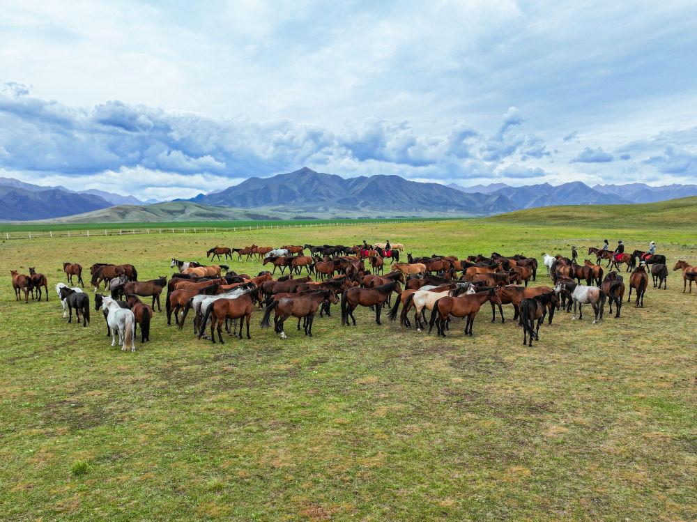 美麗中國(guó)丨望山看水有鄉(xiāng)愁