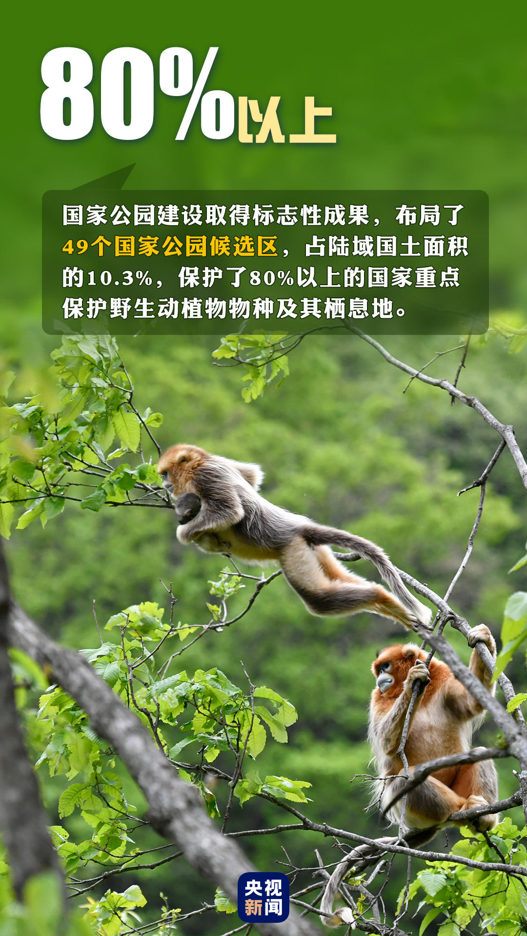 首個“全國生態(tài)日”來了！一組數(shù)據(jù)帶你看美麗中國新畫卷