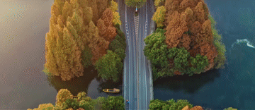 微視頻｜你身邊的這抹綠色 總書(shū)記深深牽掛