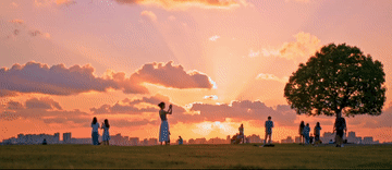 微視頻｜你身邊的這抹綠色 總書(shū)記深深牽掛