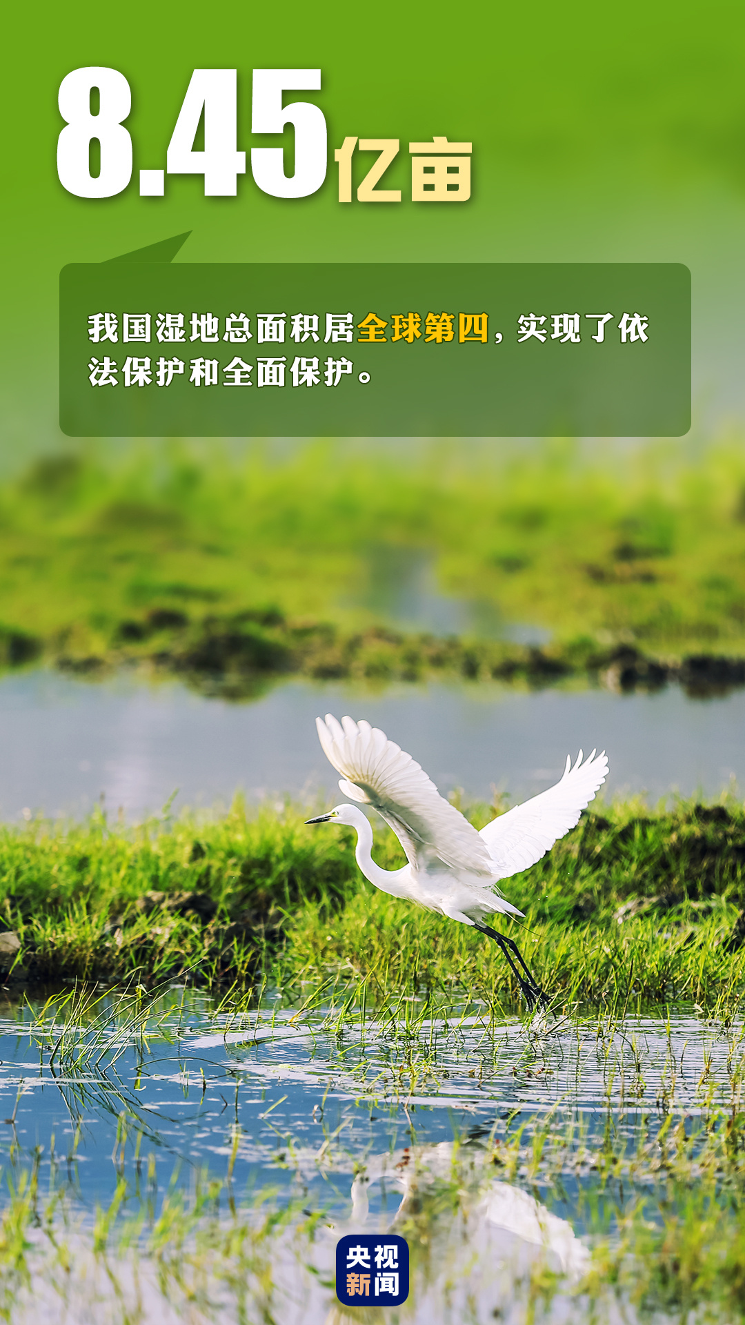 首個“全國生態(tài)日”來了！一組數(shù)據(jù)帶你看美麗中國新畫卷