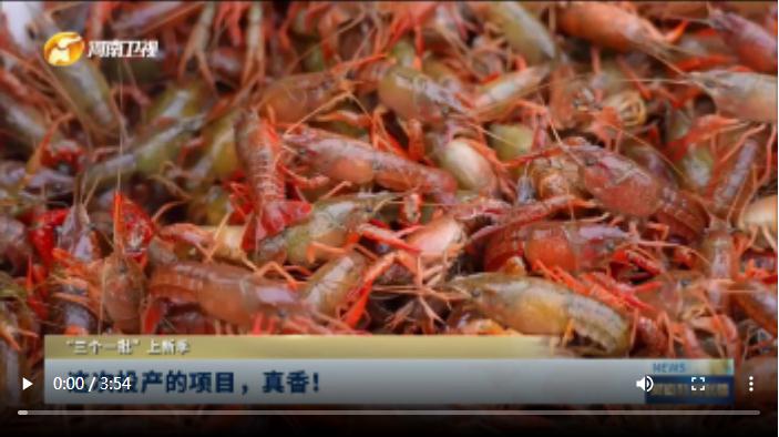 這次投產(chǎn)的項目，真香！| “三個一批”上新季