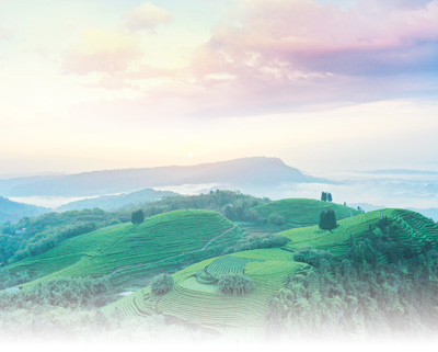 精準(zhǔn)施策，讓農(nóng)民得到更多實惠