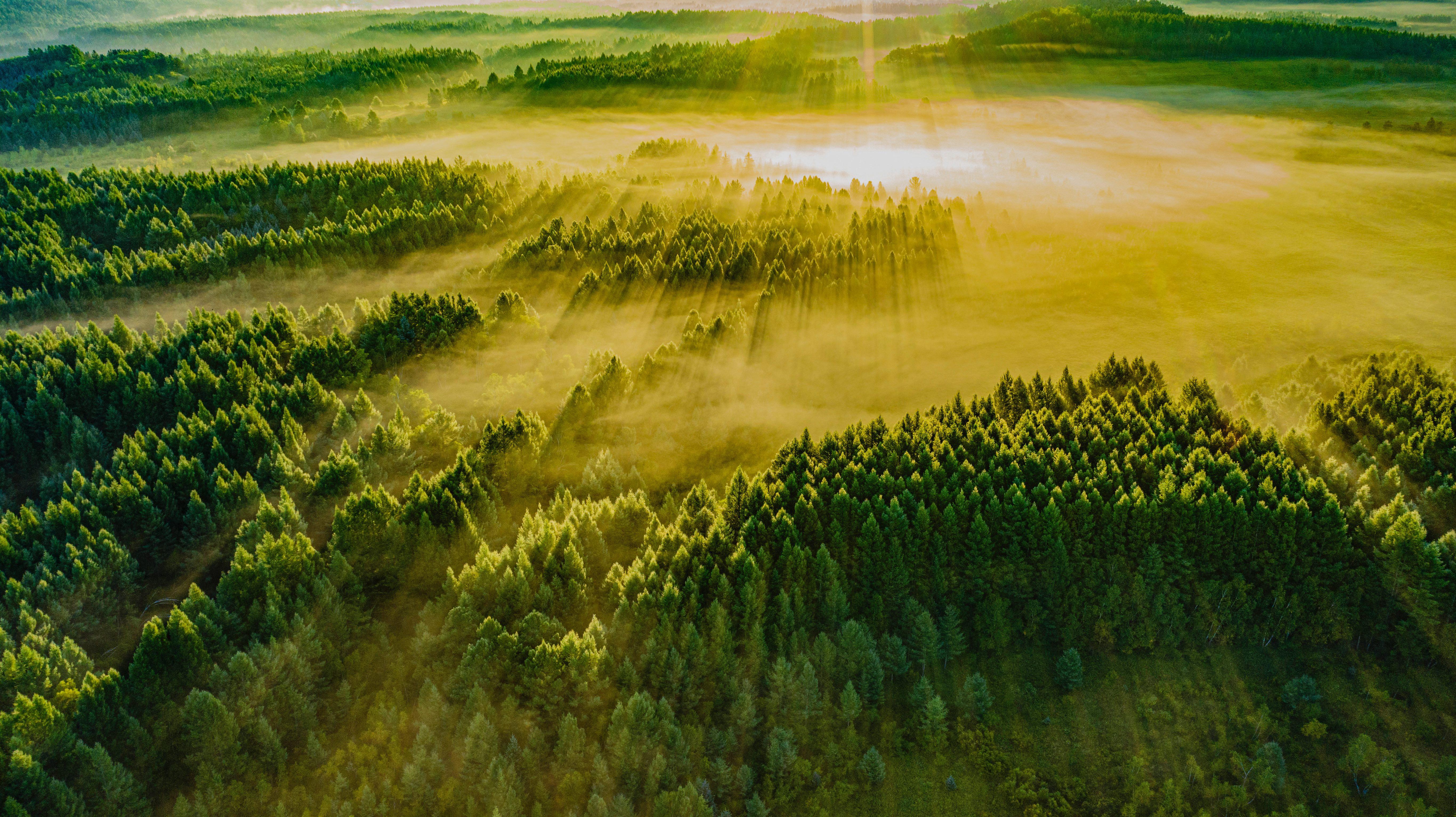 綠水青山帶笑顏丨一棵松繁衍出一片“?！? /></p>
<p>牢記囑托，新一代塞罕壩人大力弘揚塞罕壩精神，接續(xù)奮斗，在茫茫林海中續(xù)寫新的綠色傳奇。</p>
<p style=